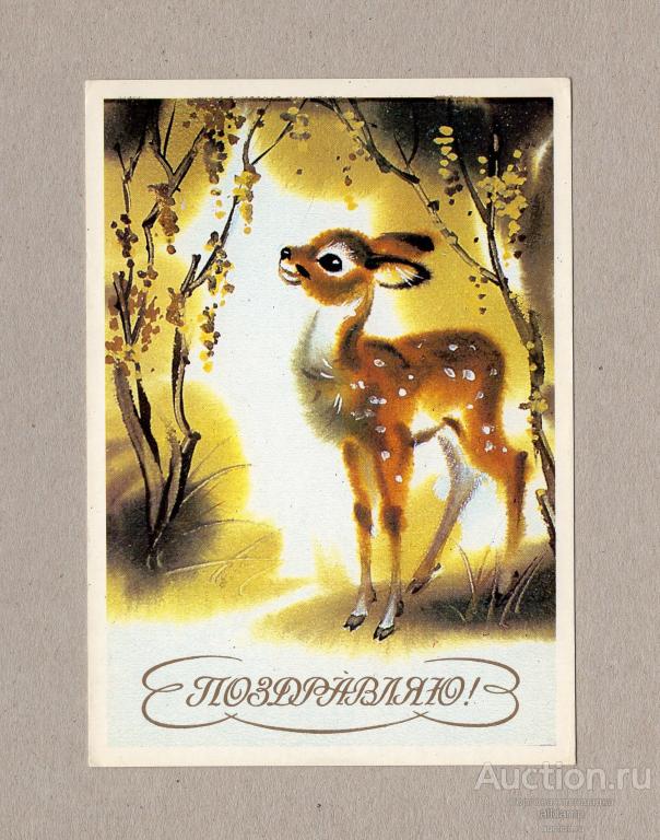 Открытка СССР Поздравляю Каневский 1989 чистая олень олененок лес природа животные фауна деревья