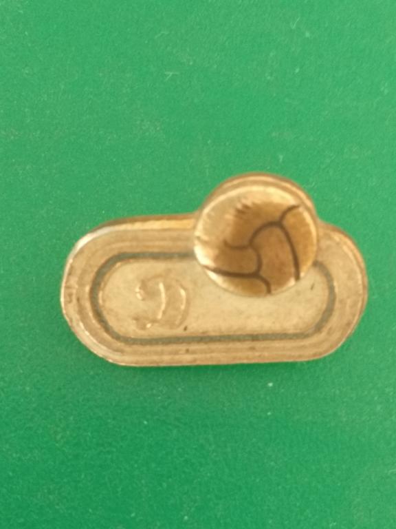 Значок "Динамо". Спорт. Футбол. Мяч. Стадион. СССР.