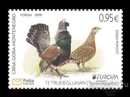 Черногория 2019 Тетерев Птицы Европа СЕПТ Фауна 1м**