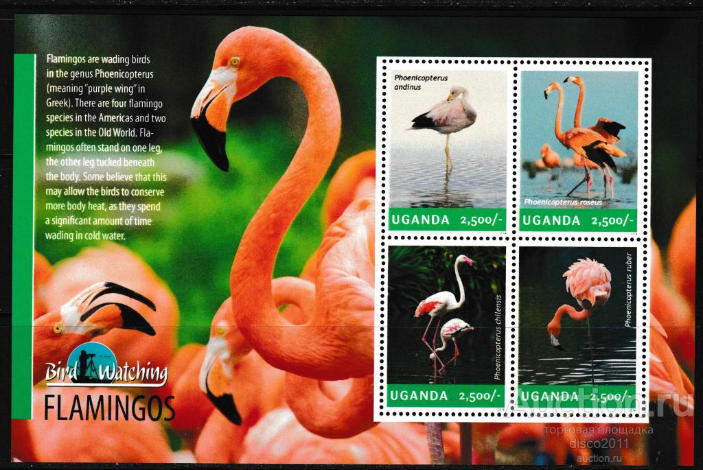 Уганда 2014 Розовый фламинго Птицы Фауна к/боген**