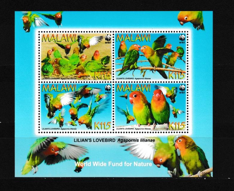 Малави 2009 WWF Птицы, попугаи, неразлучник, специальный блок, с/з