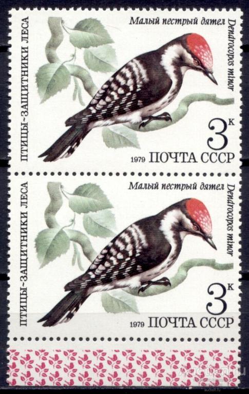 = СССР 1979 Фауна Птицы Малый пестрый дятел 1мар** пара Св # 5002 |С9-49|