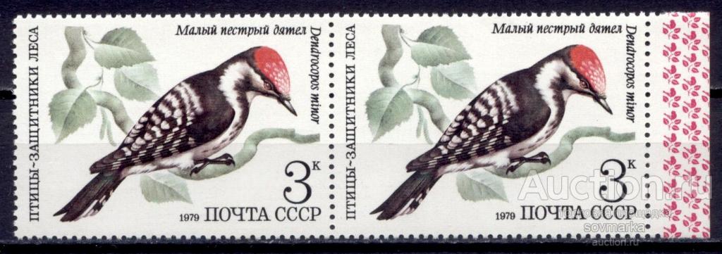 = СССР 1979 Фауна Птицы Малый пестрый дятел 1мар** пара Св # 5002 |С9-49|