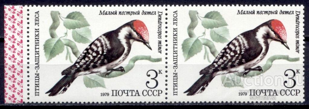 - СССР 1979 Фауна Птицы Малый пестрый дятел 1мар** пара Св # 5002 |С9-49|