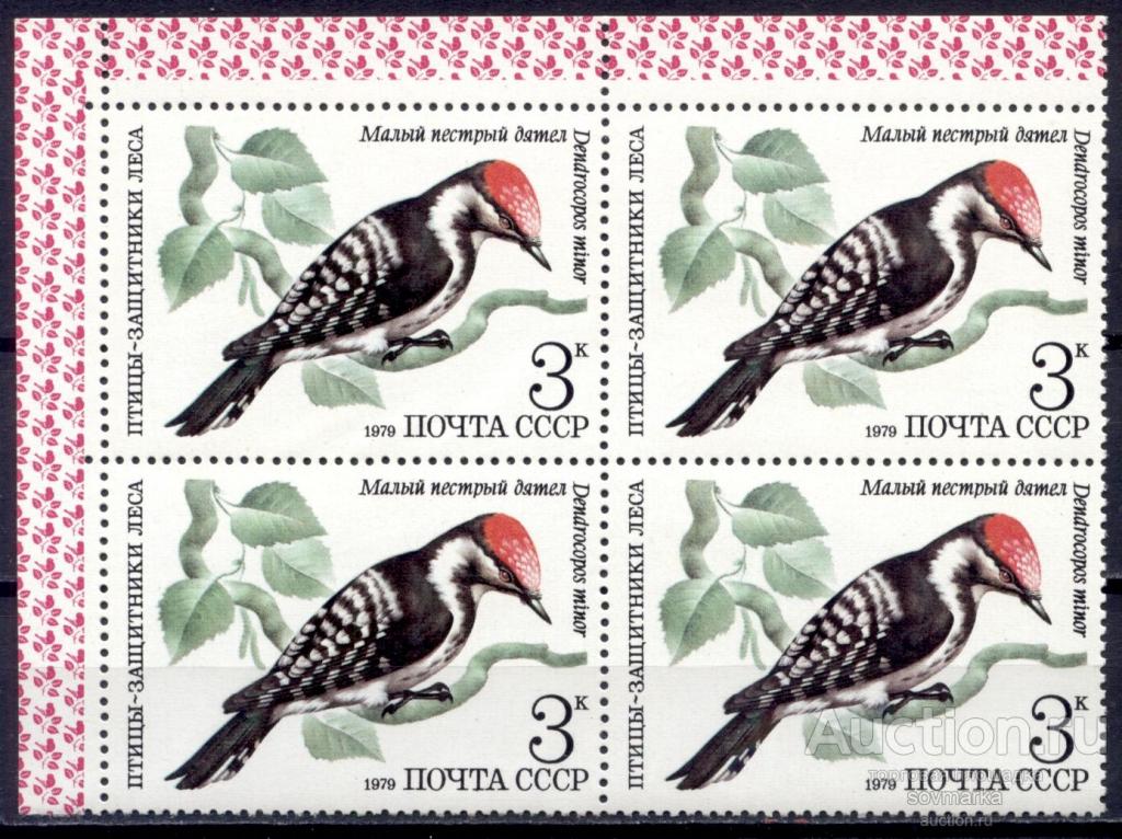 СССР 1979 Фауна Птицы Малый пестрый дятел 1мар** квартблок Св # 5002 |С9-47|