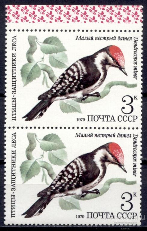 = СССР 1979 Фауна Птицы Малый пестрый дятел 1мар** пара Св # 5002 |С9-49|
