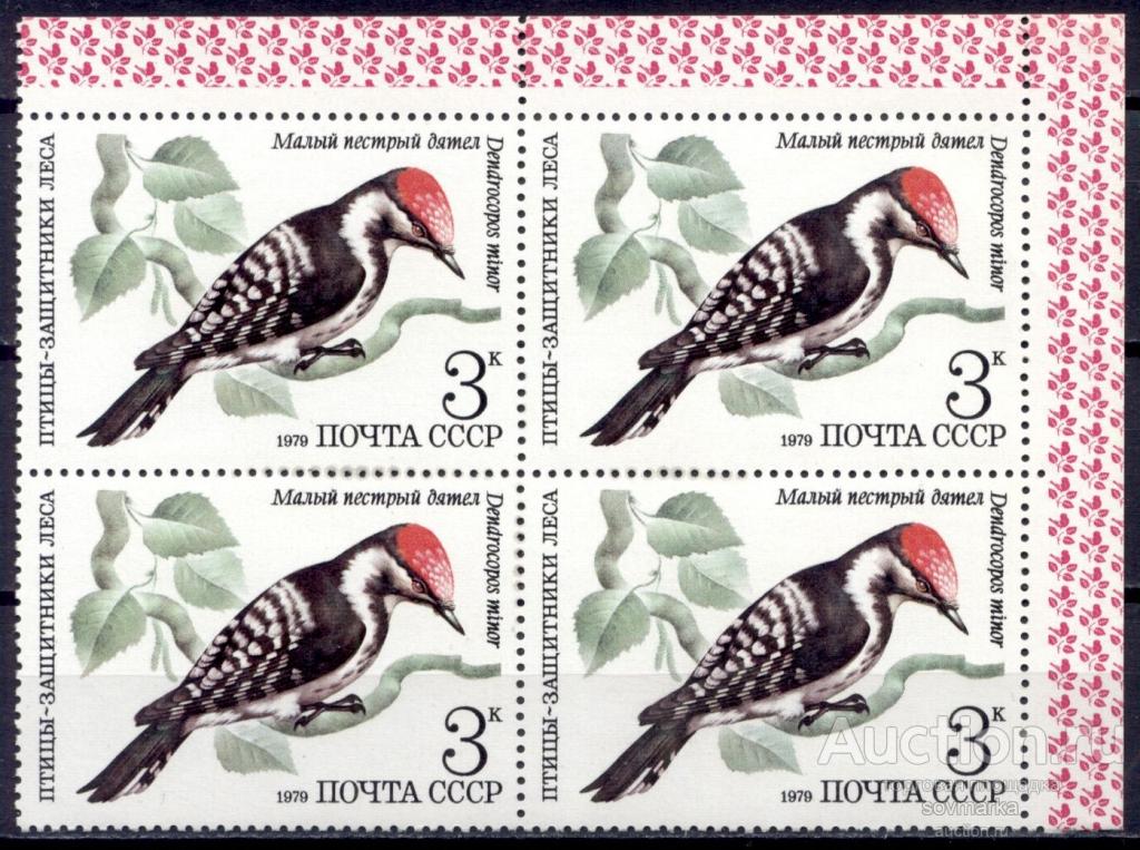 = СССР 1979 Фауна Птицы Малый пестрый дятел 1мар** квартблок Св # 5002 |С9-47|