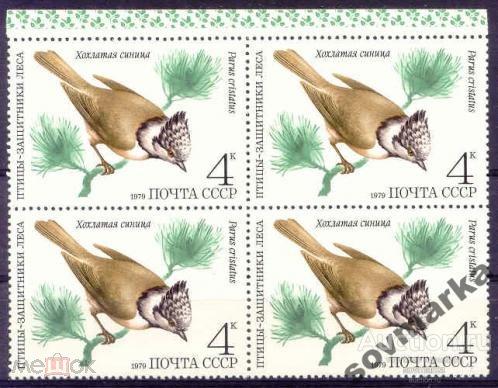 СССР 1979 Фауна Птицы Хохлатая синица 1мар** квартблок Св # 5003 |С9-48|