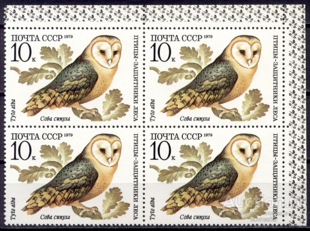 = СССР 1979 Фауна Птицы Сова сипуха 1мар** квартблок Св # 5004 |С9-49|