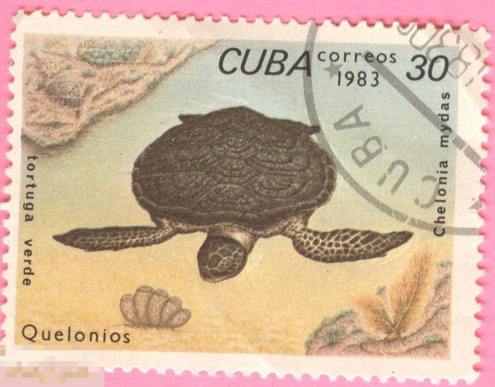 РАСПРОДАЖА!!!  Куба - 1983 г. - Фауна - Морская черепаха - 30 с. 