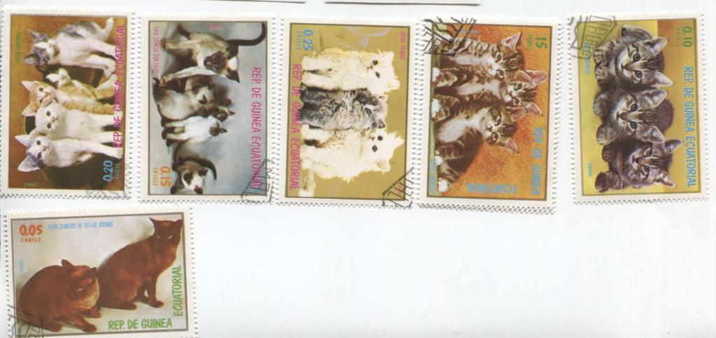 1975.Экваториальная Гвинея.Кошки 6 из 7 марок.гаш