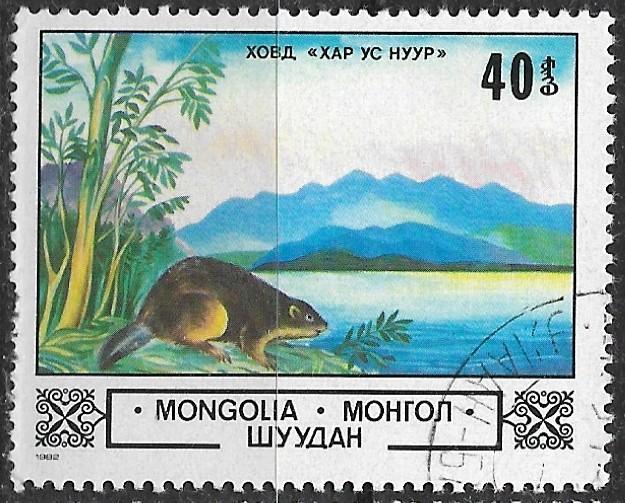 Монголия.  живопись, природа