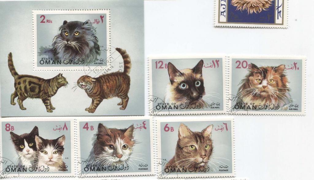 1971.Оман.КОшки.5м и блок.гаш