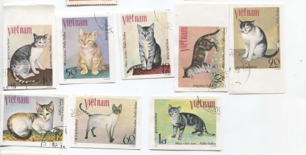 1979.Вьетнам.Кошки 8м.б/зб.гаш
