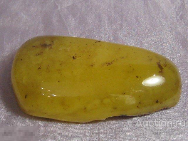 Вставка для кулона Вес 29,5 гр. Натуральный Балтийский Янтарь 