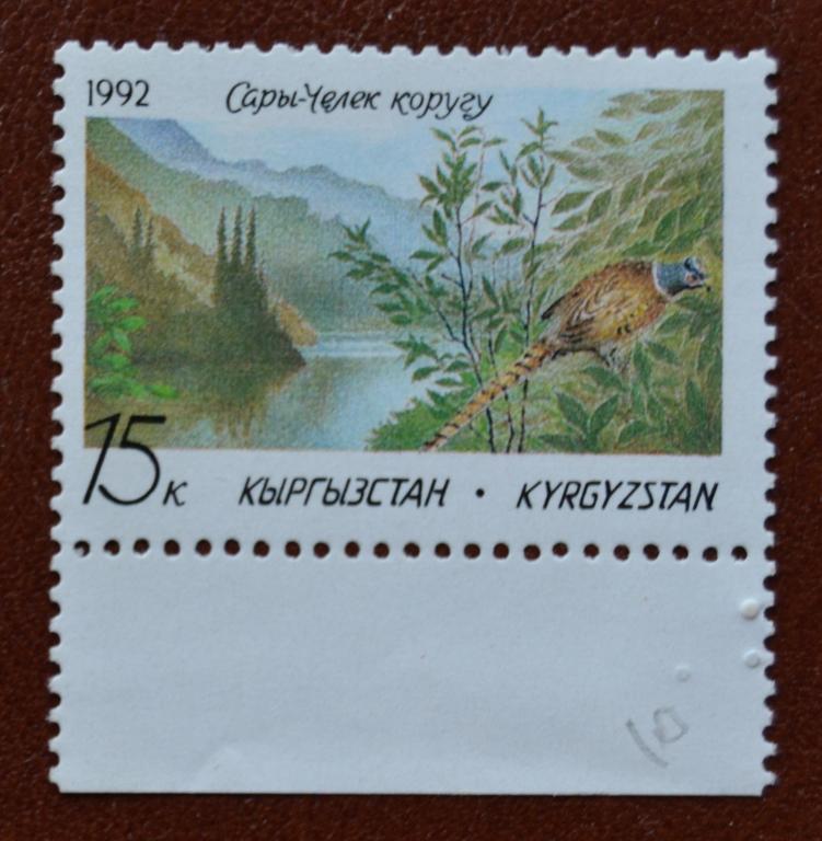 Киргизия Кыргизстан 1992 г. Природа. Заповедник Сары-Челек. Фауна Фазан   MNH  @