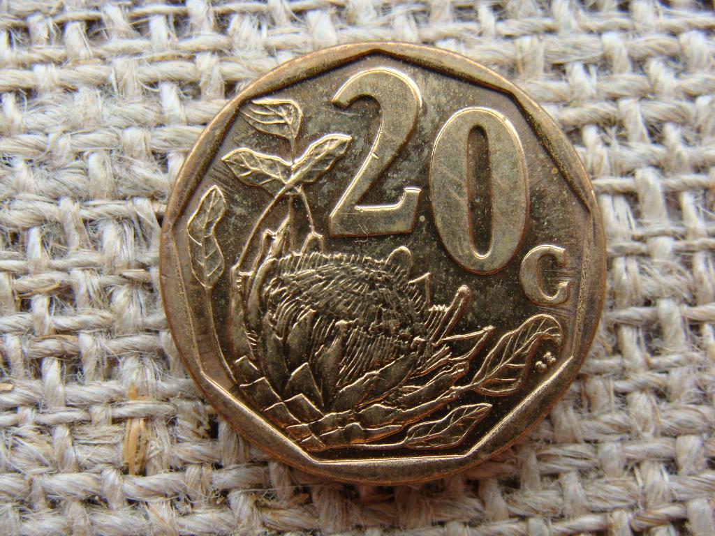 20 центов 2009 год. ЮАР