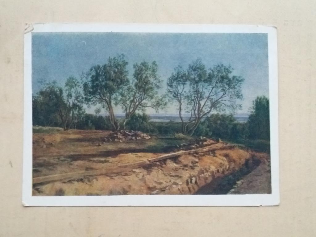 Худ.  А.А.Иванов .  Оливы у кладбища в Альбано  .   ИЗОГИЗ  1956 год.