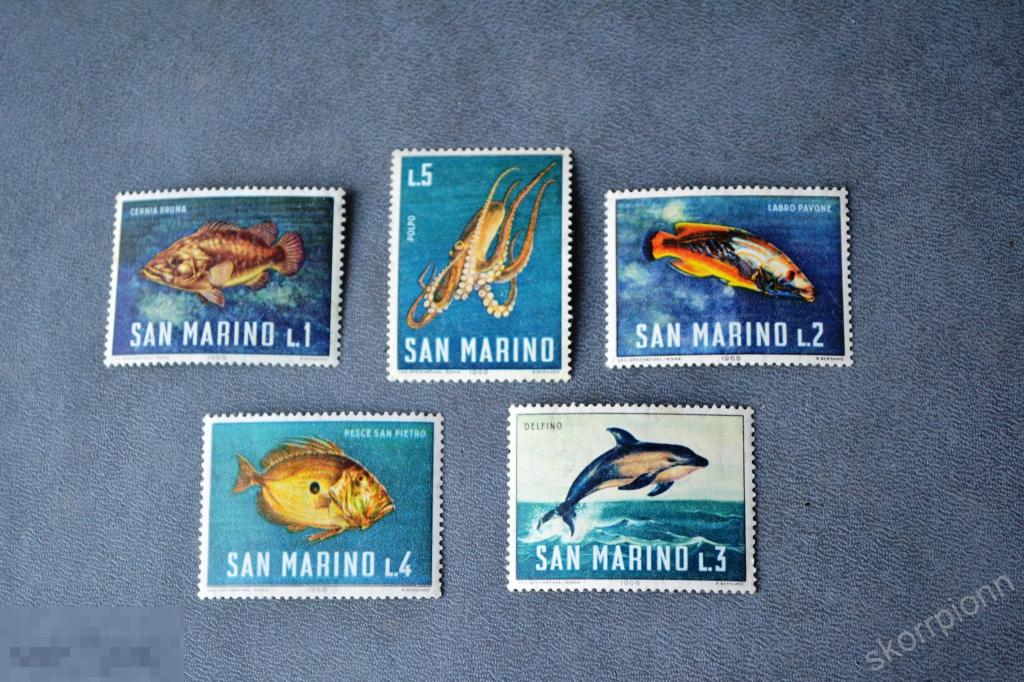 1966 Сан Марино **  фауна рыбы  чистая   ( а.31.13) 