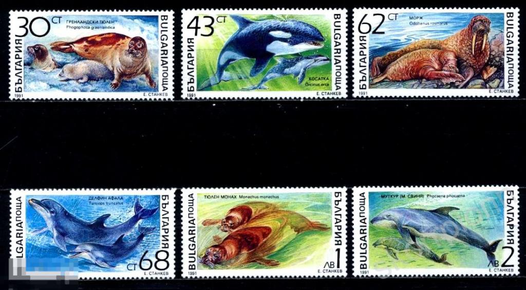 БОЛГАРИЯ Фауна Дельфин 1991, SC # 3665/3670 - серия 6 марок (а.7) 
