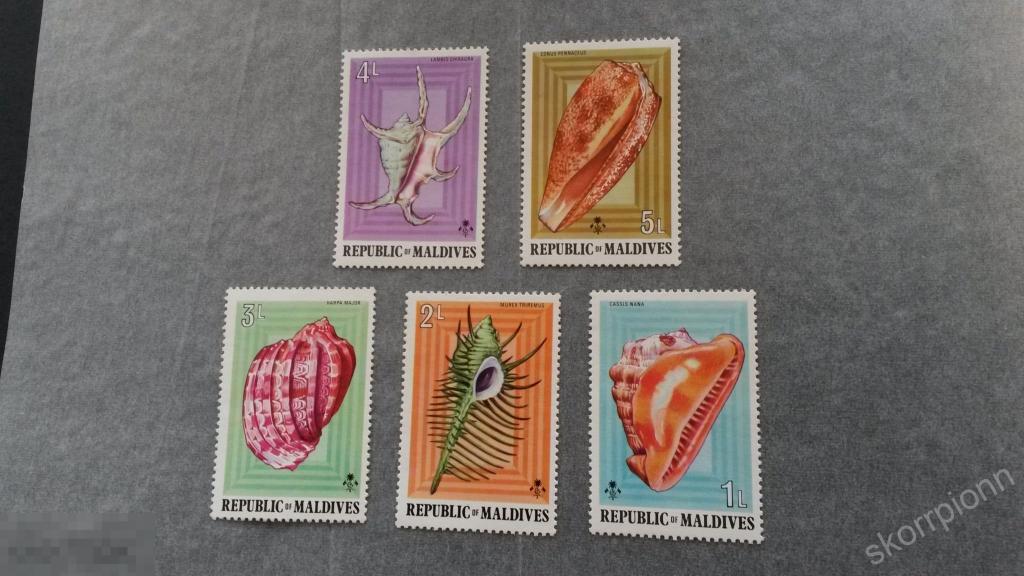 Мальдивы  ракушки ** без наклеек и следов (а.32.1) 