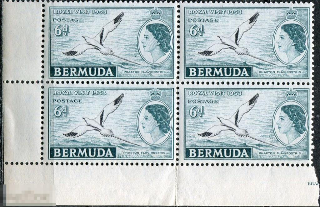 Бермуды. 1953. Фауна. Птицы. Желтоклювый фаэтон. Елизавета. Визит. № 148 в квартблоке. ** 