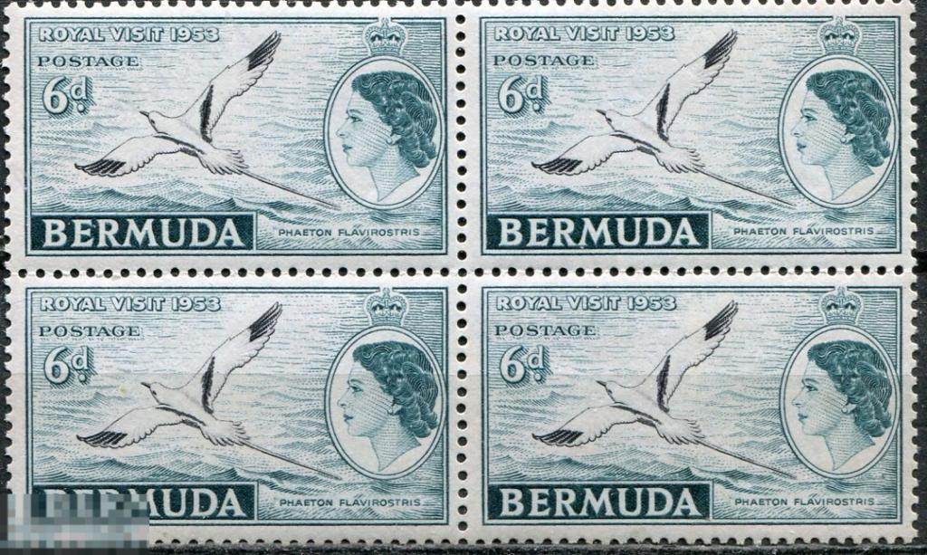 Бермуды. 1953. Фауна. Птицы. Желтоклювый фаэтон. Елизавета. № 148 в квартблоке. ** 