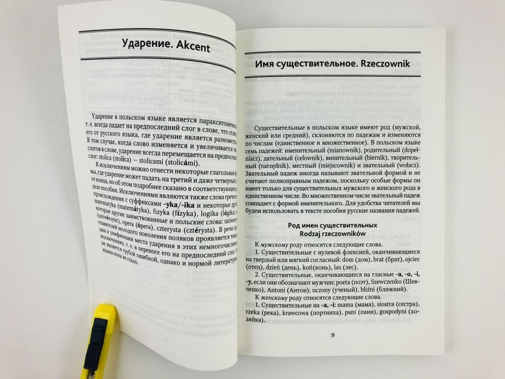 Польская грамматика в таблицах и схемах ермола в и