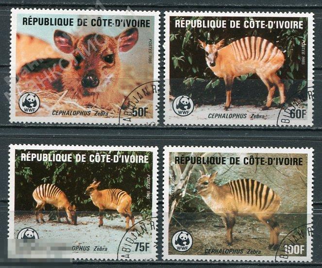 Кот Д`Ивуар.1985. WWF. Фауна. №№ 881-84. Гаш. 