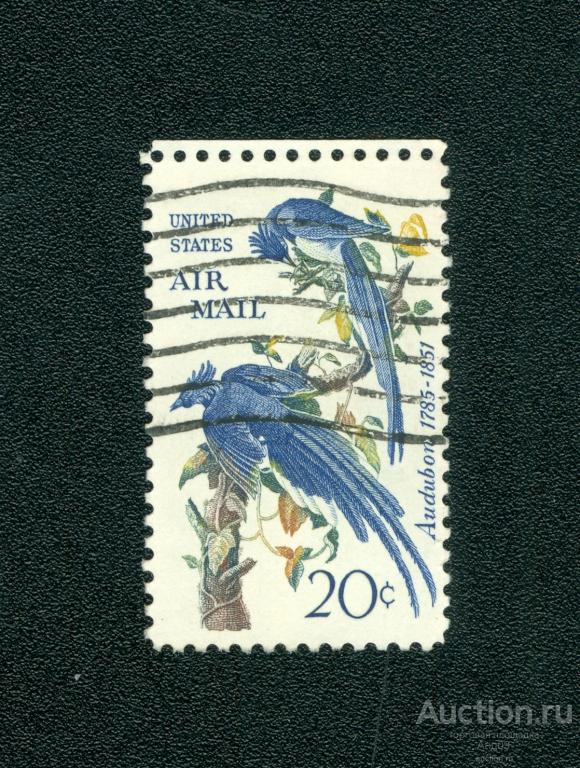 1967 г. США - Чернозобая сорока-сойка (s2308)