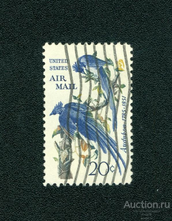 1967 г. США - Чернозобая сорока-сойка (s2307)