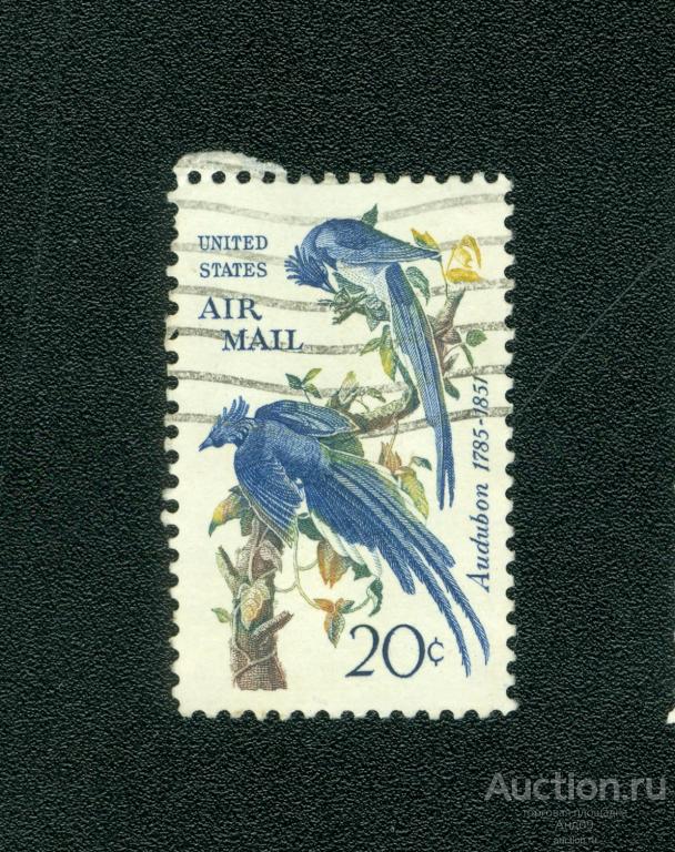 1967 г. США - Чернозобая сорока-сойка (s2305)