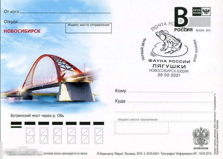 2015 НОВОСИБИРСК БУГРИНСКИЙ МОСТ   ШПД ЛЯГУШКИ НОВОСИБИРСК 