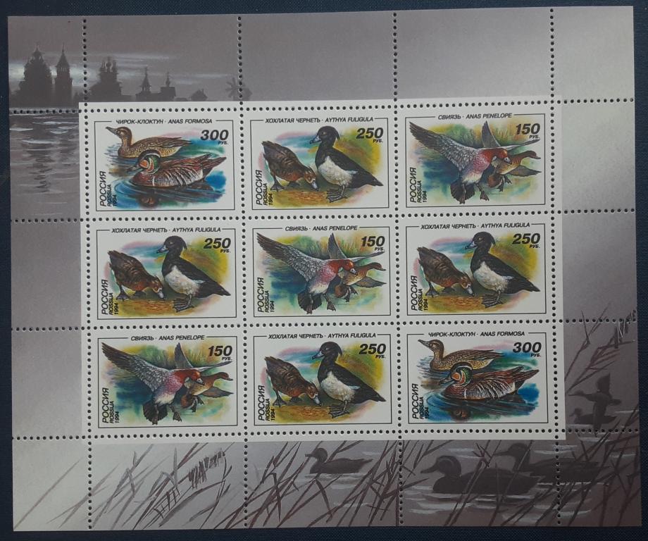 Россия 1994г. Утки. Комплект 2 МЛ (170-172)**.