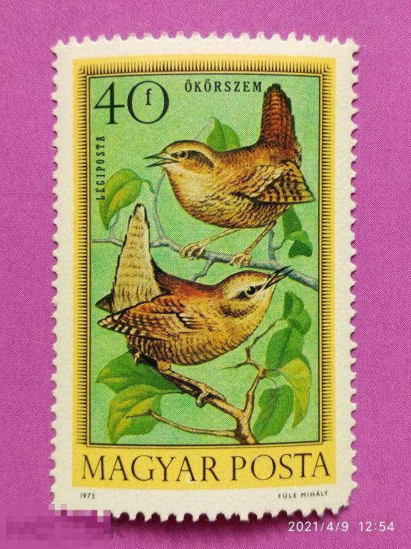 Венгрия 1973 Птицы / Евразийский рен / Фауна (Михель HU 2855A)
