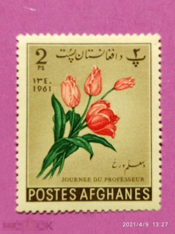 Афганистан 1961 День учителя / Тюльпаны / Флора / Цветы (Михель AF 589)