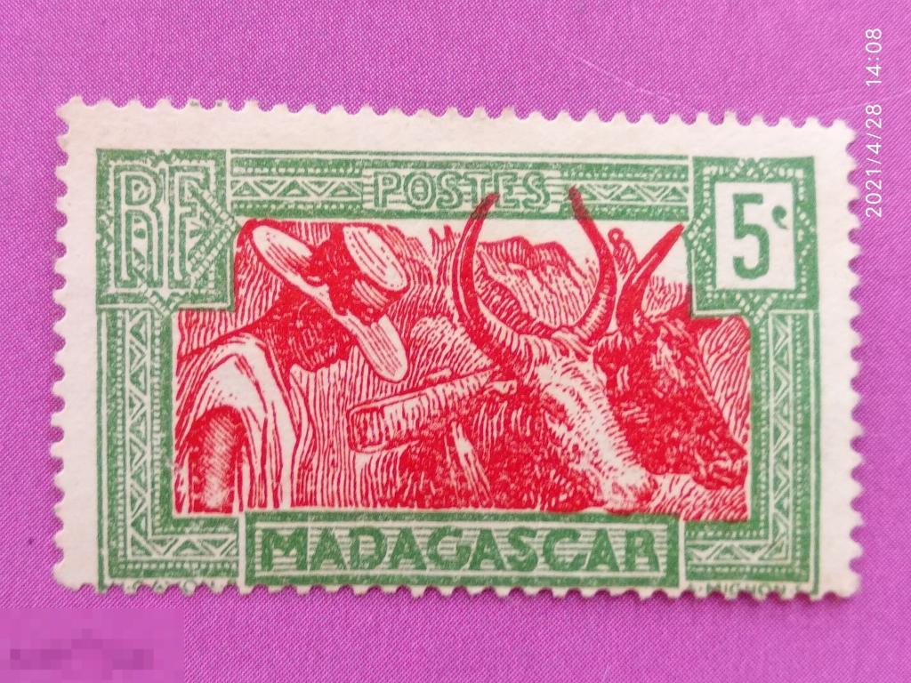 Мадагаскар 1930 Зебу / Фауна* (Михель MG 183)