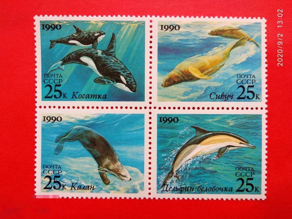 СССР 1990 Морские животные / Совместный выпуск СССР и США** №6251-54