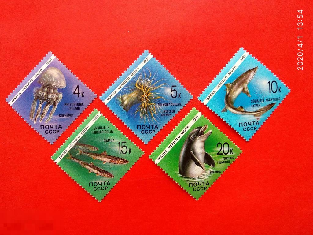 СССР 1991 Фауна Черного моря** №6279-83
