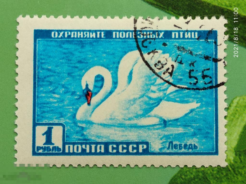 СССР 1959 Фауна СССР / Лебедь №2330 ГАШ