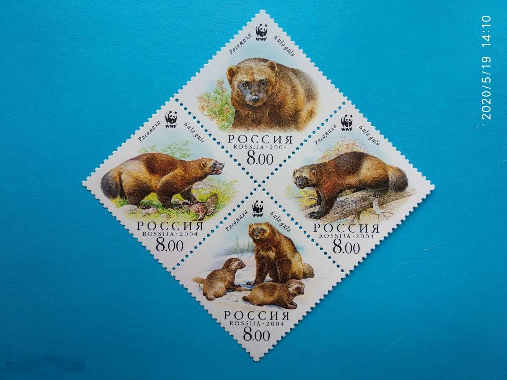 Россия | РФ 2004 Фауна / Росомаха (Gulo gulo)** №966-69