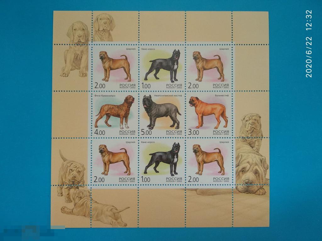 Россия | РФ 2002 Фауна / Собаки** №739-43 Малый лист