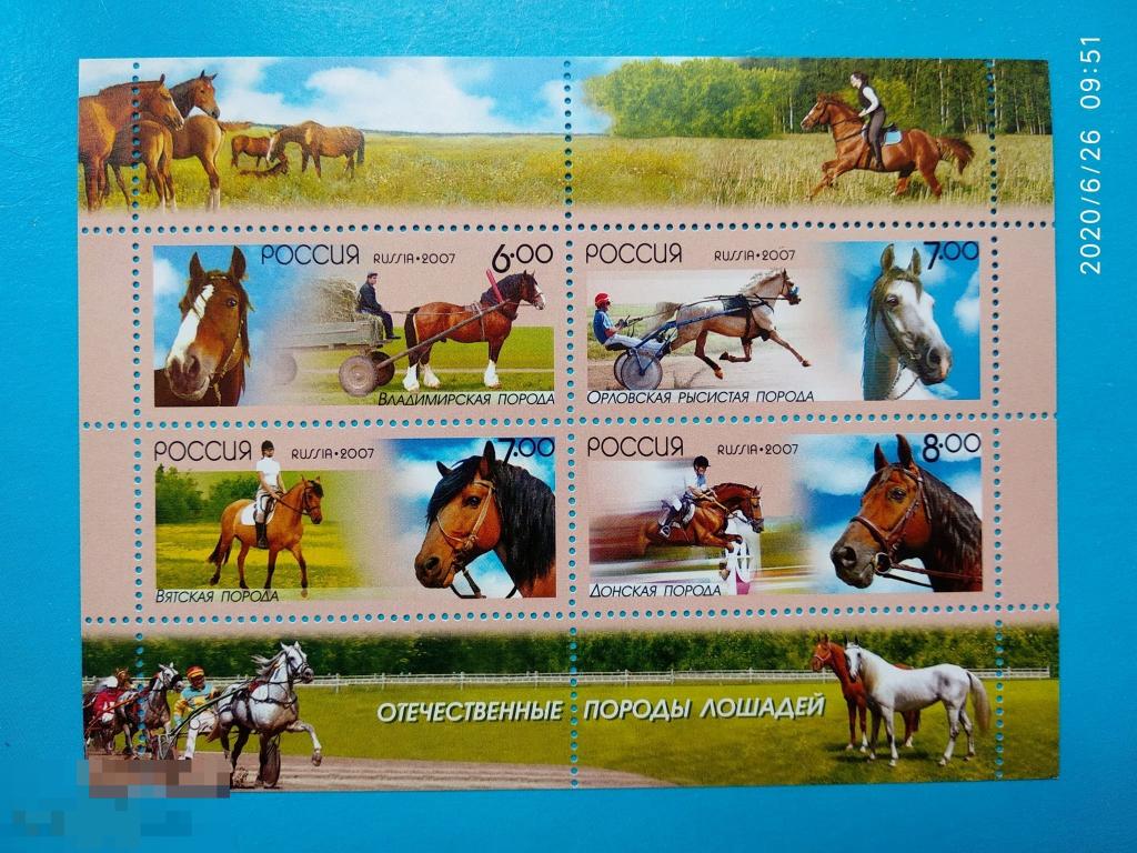 Россия | РФ 2007 Отечественные породы лошадей** №1209-12 Малый лист