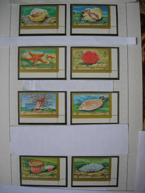 Умм эль Кайвайн 1972 морская фауна   MNH
