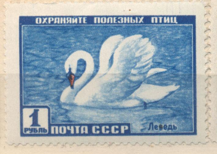 СССР 1959 г.    № 2245 Фауна СССР Лебедь  негашен**