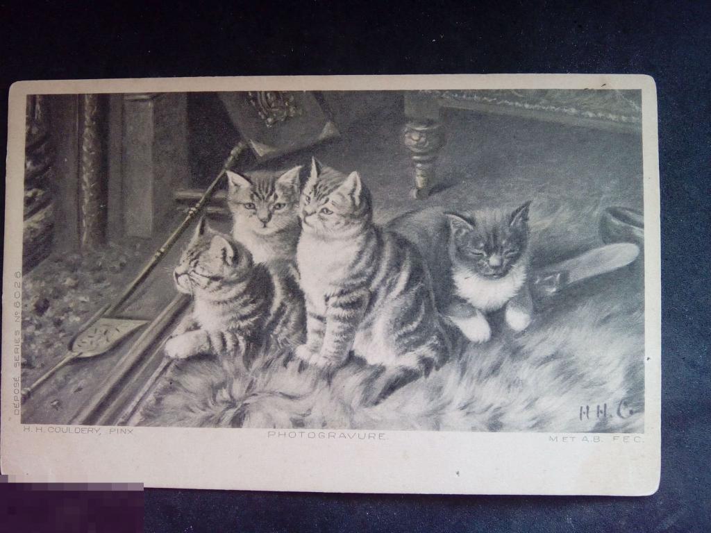 Дореволюционная открытка худ. Коулдери, Кошки (H. Couldery) 