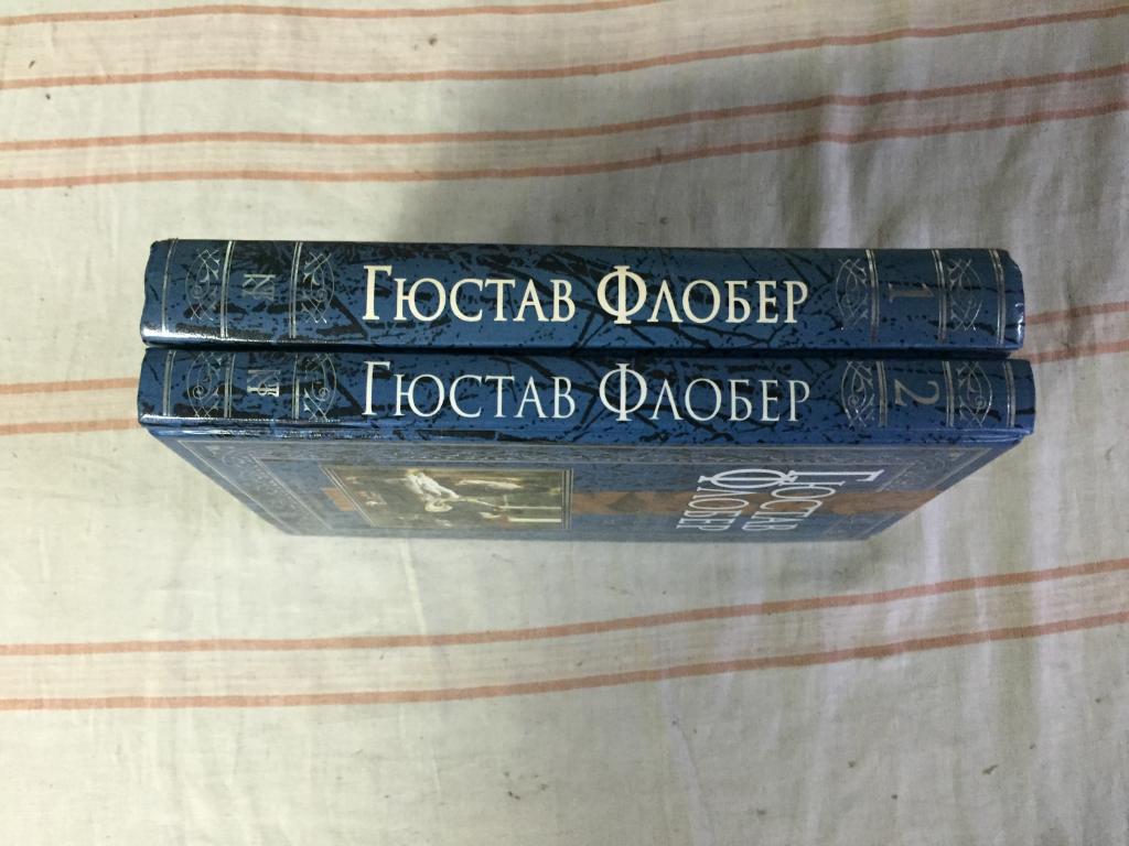 Госпожа бовари темы сочинений Госпожа бовари темы сочинений