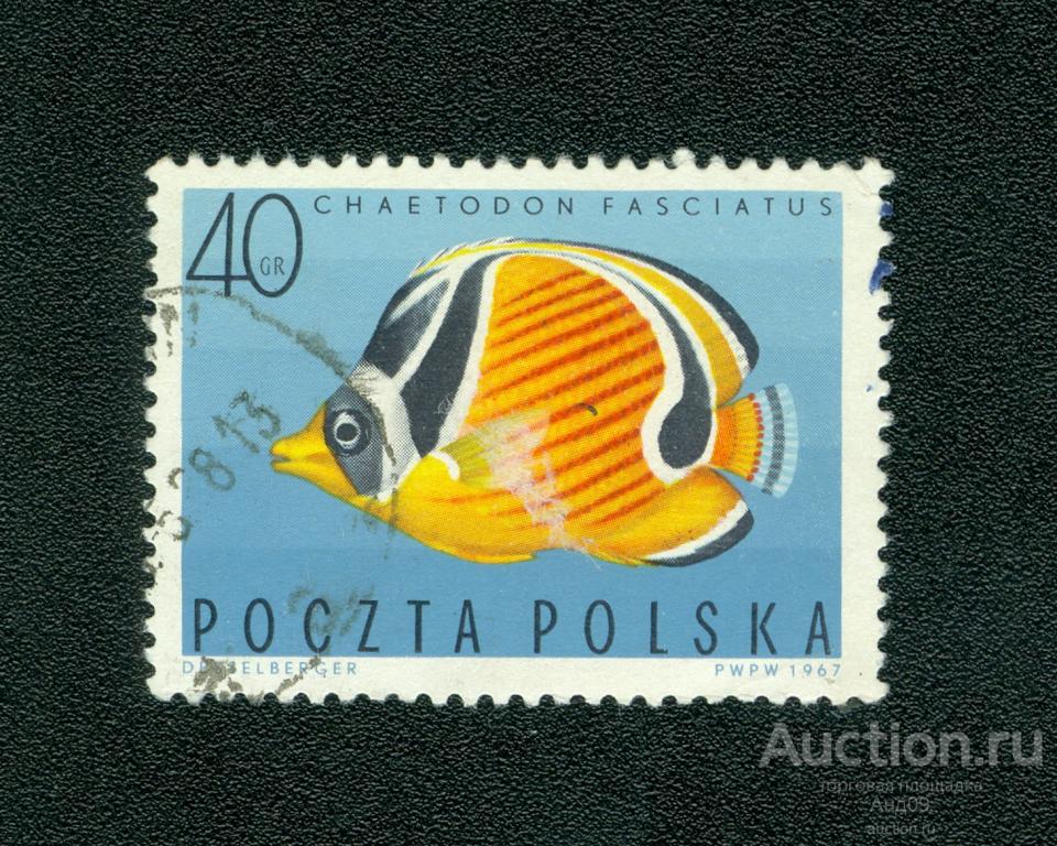 1967 г. Польша - Тропическая рыба (s1124)