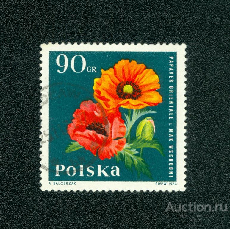 1964 г. Польша - Восточный мак (s1126)