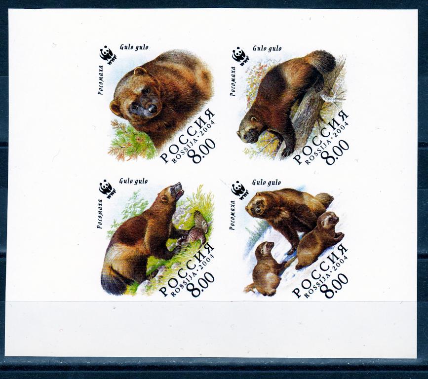 Марки  Россия 2004 г. № 966-969 Фауна Росомаха Сцепка 4 марки ПРОБА MNH